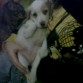 El primer dia
